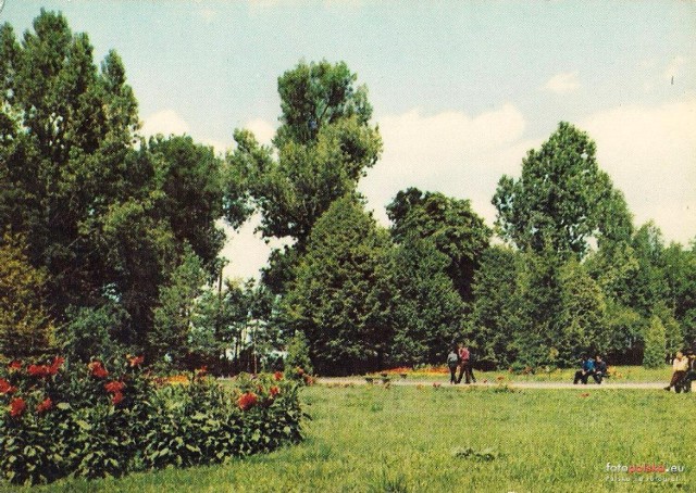 Park w Łęczycy w 1986 roku