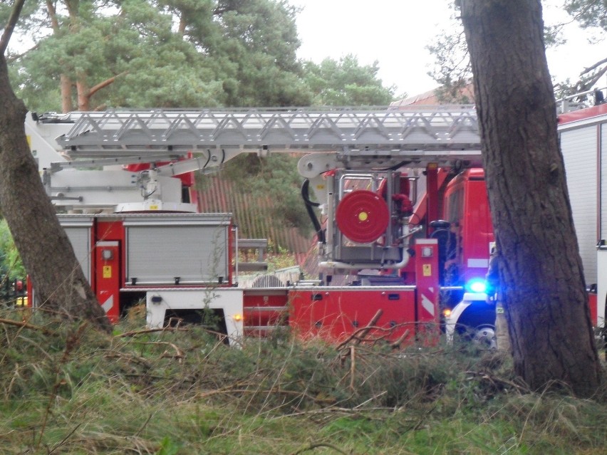 W Rowach strażacy usuwali drzewo, które wichura przewróciła na domek letniskowy