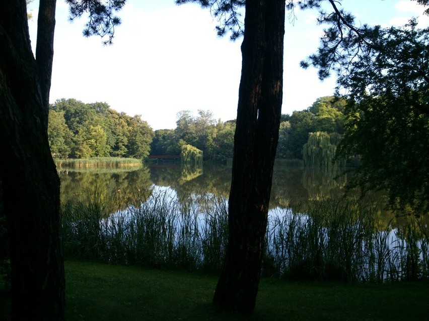Park Sołacki - jeden z siedmiu cudów Poznania [Zdjęcia]