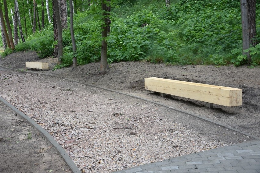 Jakie tajemnice kryje wnętrze parku w Starachowicach? To będzie cel spacerów mieszkańców [ZDJĘCIA]