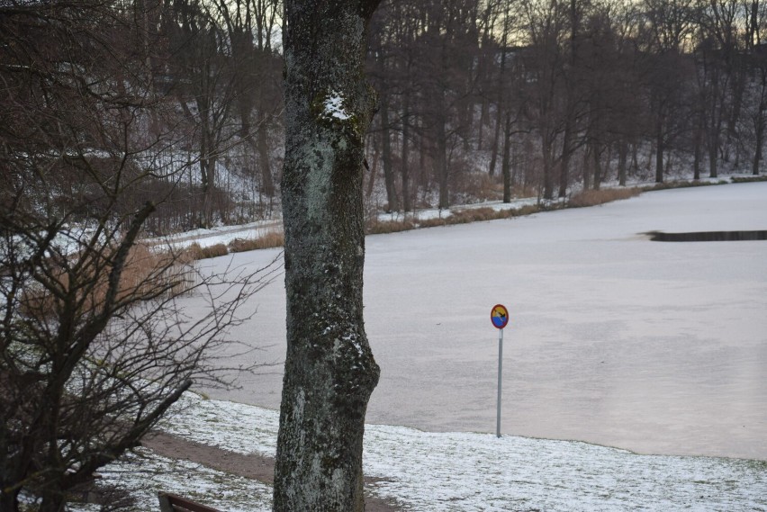 Zimowy spacer w Parku Rodzinnym nad Jeziorem Kaplicznym w...