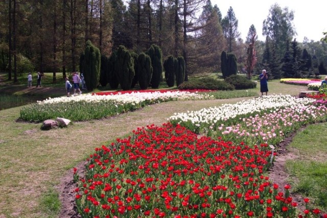 Ogród Botaniczny w Łodzi