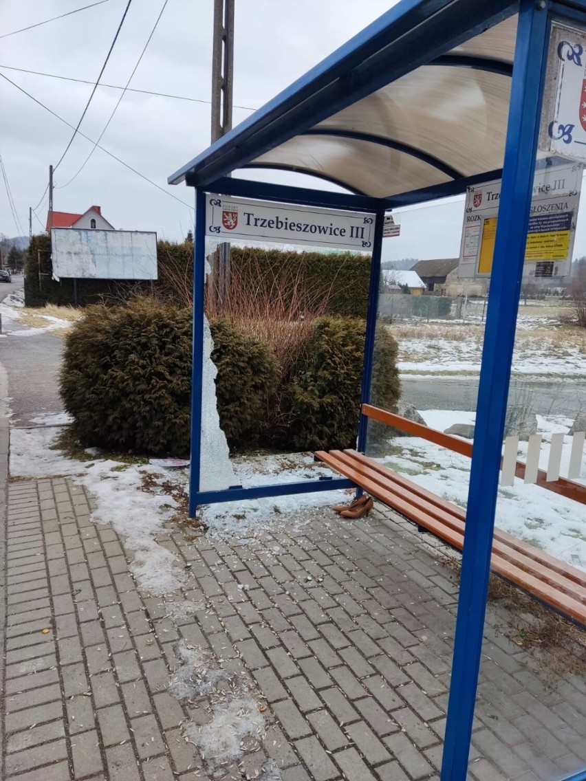 Ktoś zdewastował przystanki w gminie Lądek-Zdrój. Burmistrz za pomoc wyznaczył nagrodę 