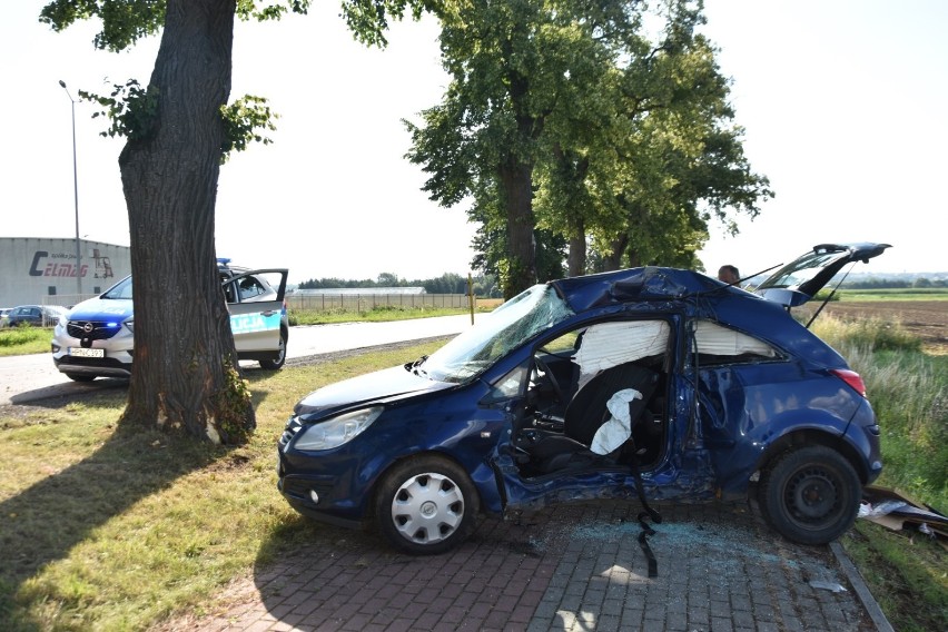 Wypadek w Marezie. Samochód osobowy uderzył w drzewo, ranna 20-latka [ZDJĘCIA]