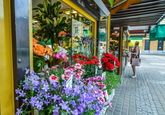 Z projektem planu miejscowego zagospodarowania przestrzennego bydgoskiego pl. Wolności można zapoznać się do 21 października.