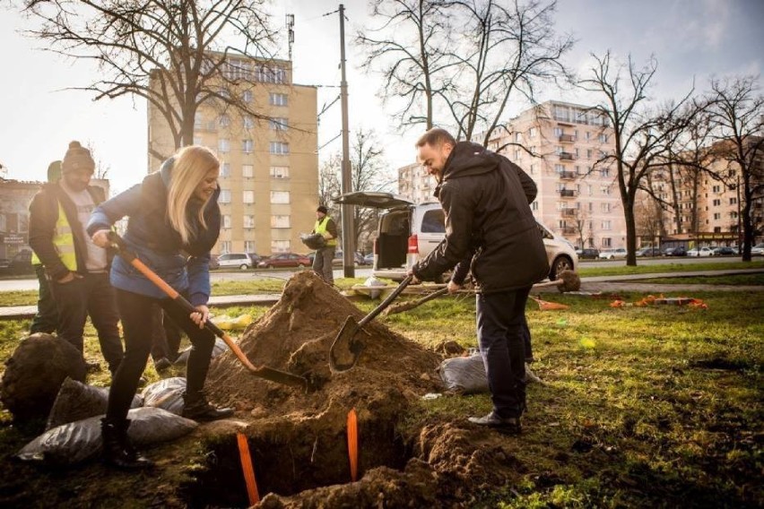 Białołeka, Warszawa. Mieszkańcy zadecydują, gdzie i jakie...