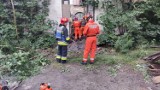 13 zastępów Straży Pożarnej w opuszczonej szkole w Czeladzi - mogło dojść do katastrofy, na miejscu były grupy poszukiwawcze z psami