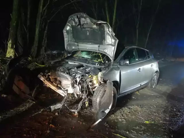 Pomiędzy Białokoszem a Łężeczkami auto osobowe uderzyło w drzewo. Sprawę wyjaśnia Komenda Powiatowa Policji w Międzychodzie.