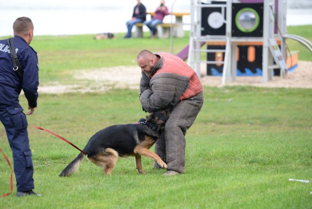 W czasie pokazów w Kamieniu zaprezentowano umiejętności zarówno psów policyjnych, jak i cywilnych, natomiast instruktorzy służyli fachową pomocą i poradą.