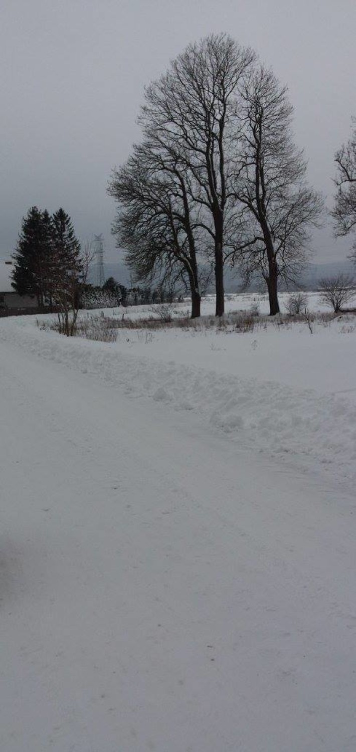 Zima w Tylowie (gmina Krokowa)