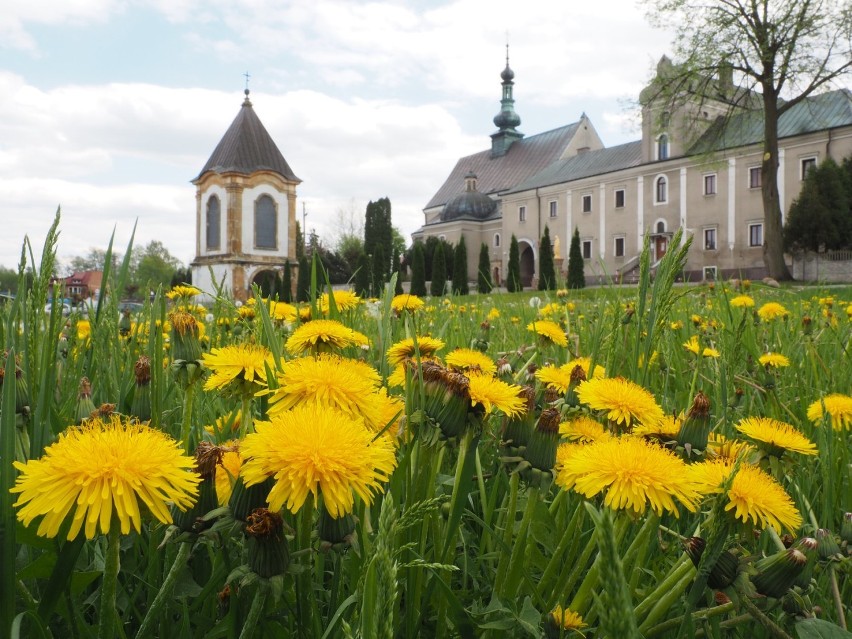 Zwiedzaj powiat radomszczański z aplikacją Era Travel