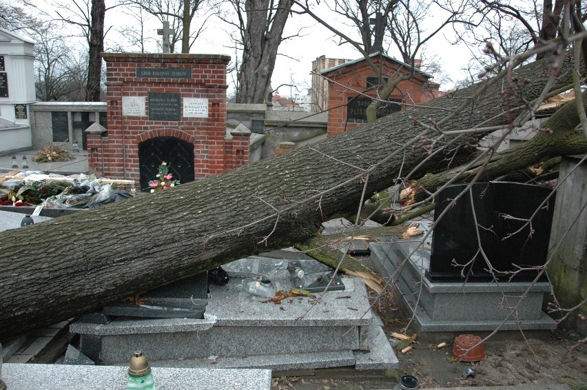 Cmentarz Miejski w Kaliszu. Przewalone drzewo uszkodziło...