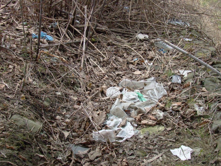 Dzikie śmietniska w zachodniej Małopolsce. Ustawa śmieciowa nie pomogła