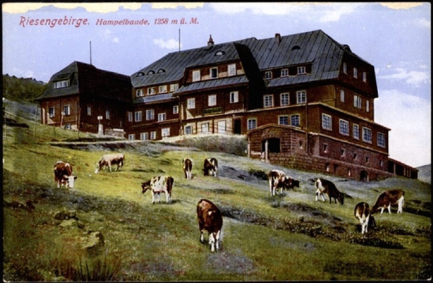 Na pocztówce z 1911 roku przed schroniskiem Schlingela...