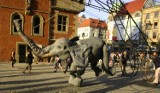 Słoń krążył po wrocławskim Rynku [zdjęcia]