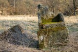 Nieznajowa - wieś, której nie ma. Kiedyś tutaj tętniło życie, po II wojnie wieś zamarła. Dziś, zostały tylko kapliczki i cmentarz [FOTO]
