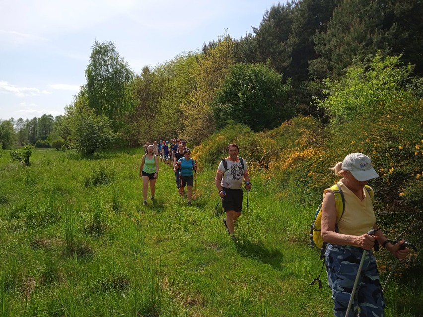 Miejski Ośrodek Sportu i Rekreacji w Radomsku rozpoczął sezon trekkingowy. ZDJĘCIA