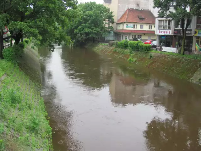 W ciągu doby poziom wody w Prośnie w Kaliszu wzrósł o 12 centymetrów.