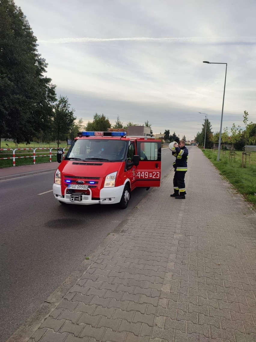 Pechowy poranek na drogach powiatu grodziskiego. Jedna osoba trafiła do szpitala