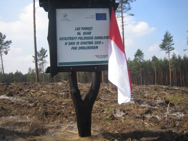 Okolicznościowa tablica i drzewa mają być hołdem dla tych, którzy zginęli w katastrofie lotniczej pod Smoleńskiem. Dęby otrzymają imiona ofiar tragedii z 10 kwietnia. 96 dębów, które posadzili  mieszkańcy Dąbrowy Górniczej, zainicjowały powstanie Lasu Pam