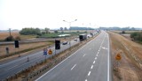 Na autostradzie A4 nie powinno być jeleni 