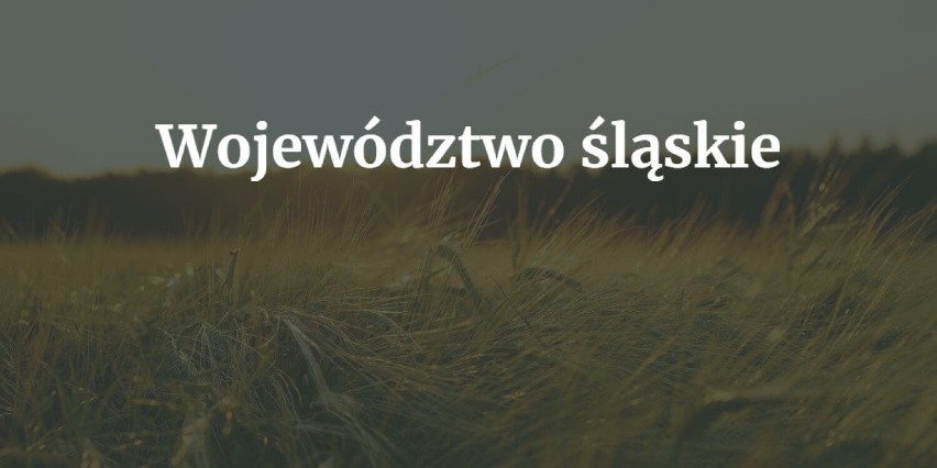 Najpopularniejsze nazwy wsi w województwie (wraz z ilością...