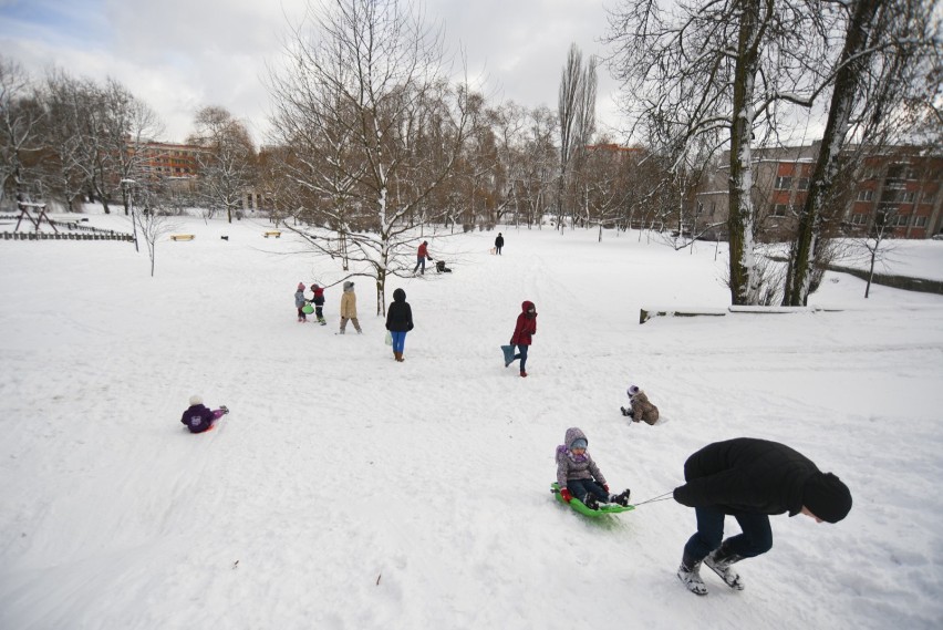 Zima 2015 w Sosnowcu: dzieci się cieszą! [Zdjęcia]