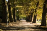 GORZÓW WLKP. Gorzów w obiektywie naszego Czytelnika. Piękne ujęcia! 