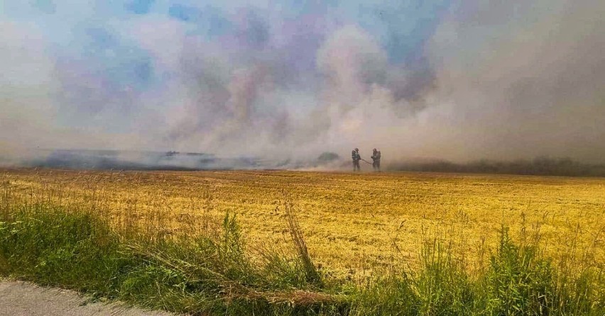 Wielki pożar zbóż w gminie Wolbrom                                        