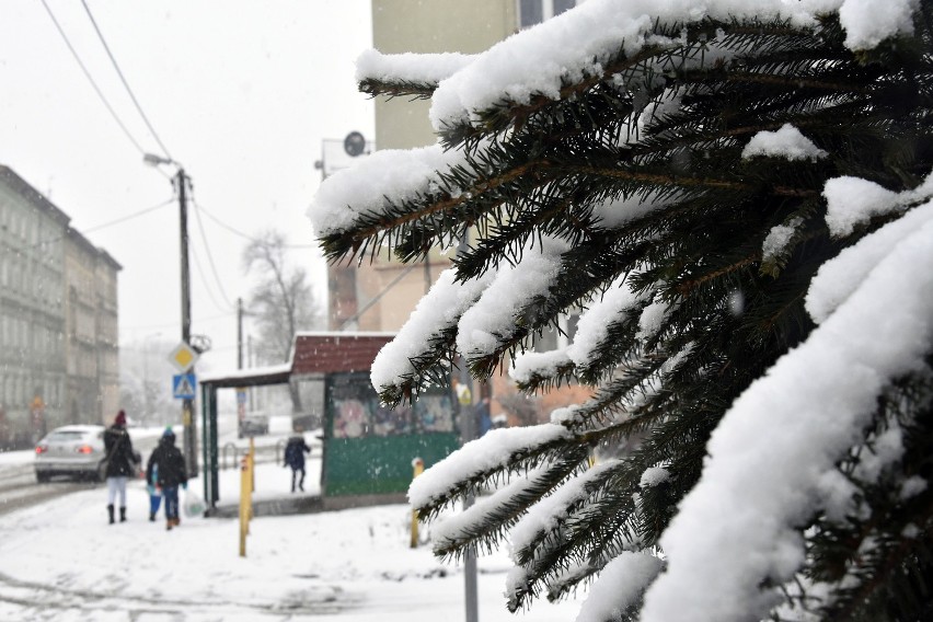 Spore opady śniegu, Legnica otulona białym puchem.