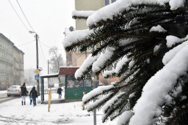 Spore opady śniegu, Legnica otulona białym puchem.