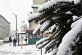 Spore opady śniegu, Legnica otulona białym puchem [ZDJĘCIA]