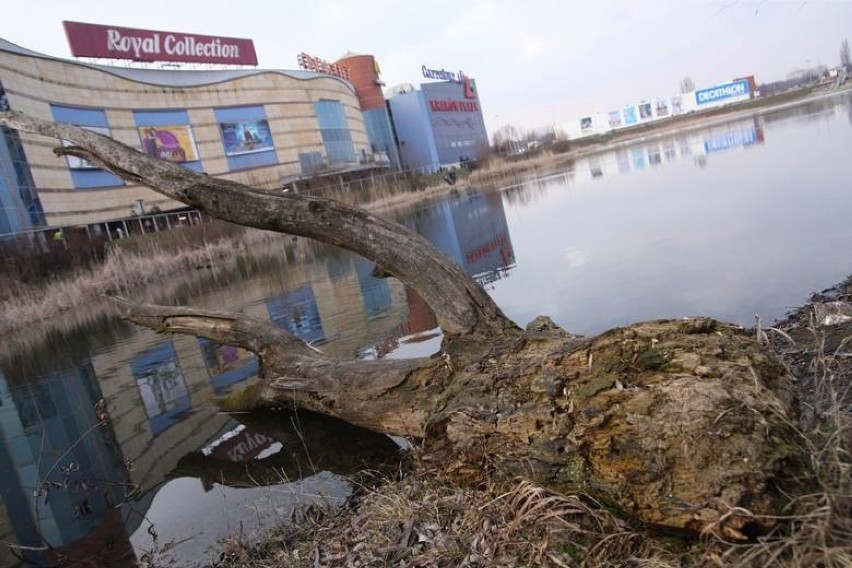 Nowe marki pojawiają się w Fashion Outlet Kraków 