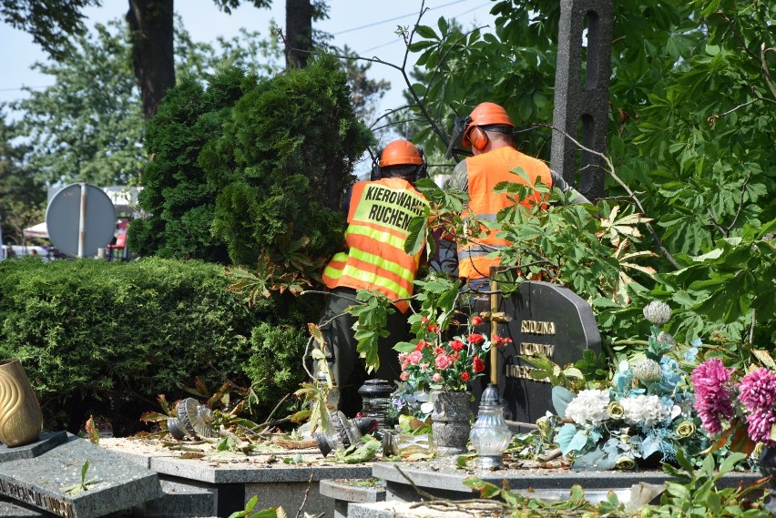 Co z ubezpieczeniem cmentarza i wycinką drzew? Ks. Jacek Zieliński wyjaśnia