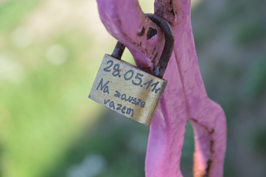 Kłódki miłości na różowym Moście Tolerancji w Głogowie [ZDJĘCIA]