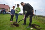 Ojcowie posadzili drzewa dla swoich dzieci. Piękny widok [ZDJĘCIA]