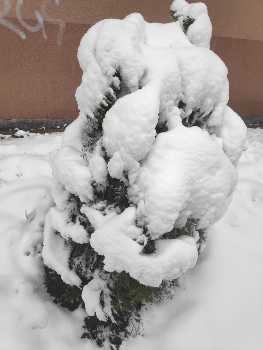 Atak zimy w Białymstoku. Opady śniegu zaskoczyły nie tylko drogowców. Tak wygląda miasto 2 kwietnia 2022 [ZDJĘCIA]