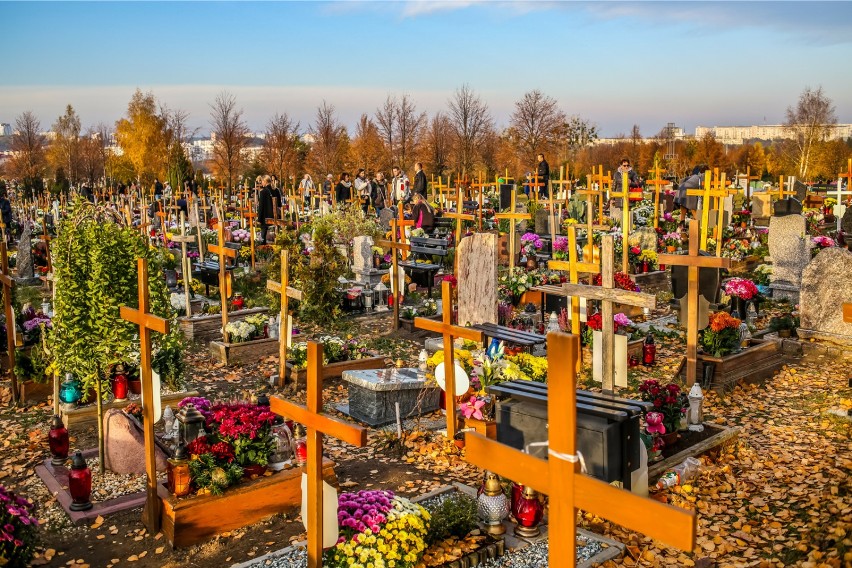 Na gdańskie cmentarze najlepiej dojechać komunikacją miejską...