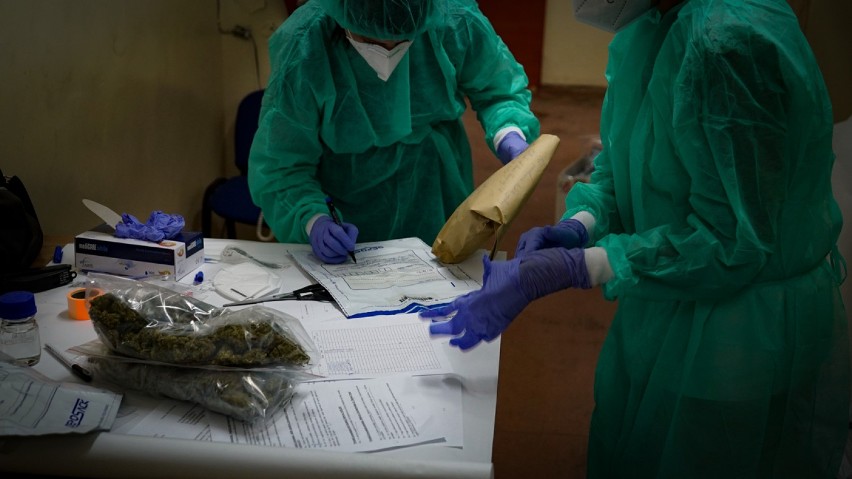 Narkotyki o wartości 6 mln zł znalezione w dwóch "magazynach" w Malborku
