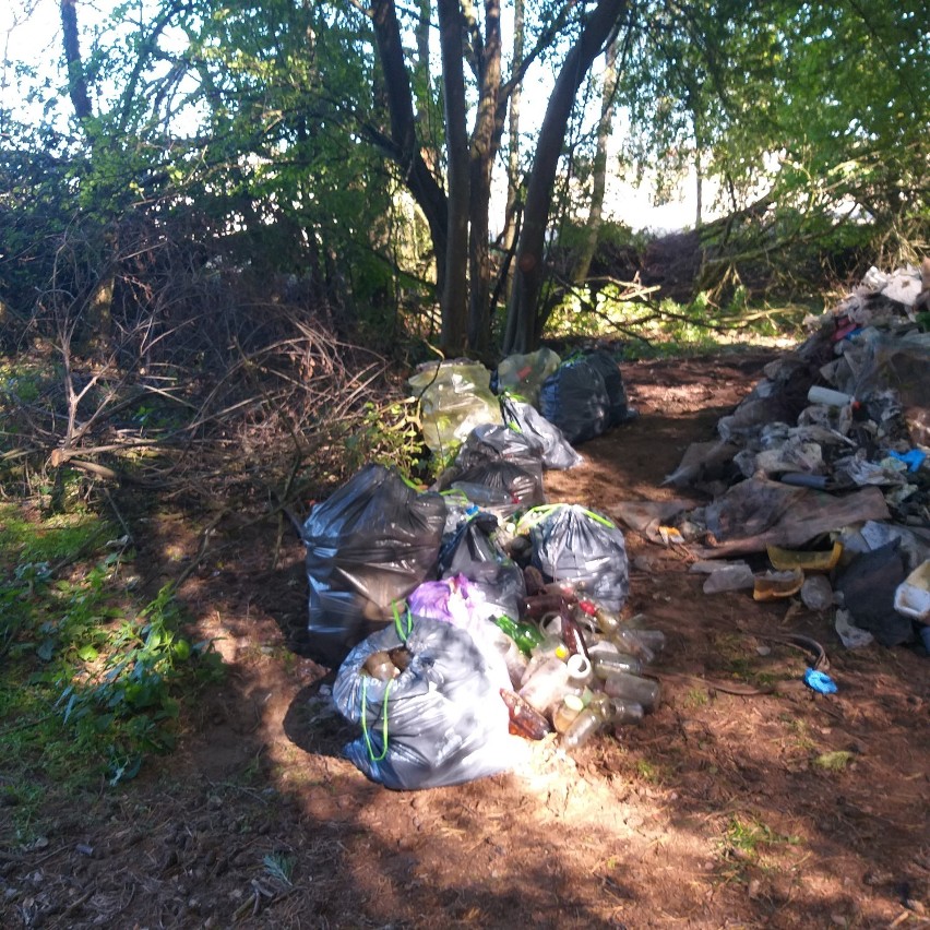 W Zdroju odbyło się „Grodziskie Śmieciobranie” [ZDJĘCIA]