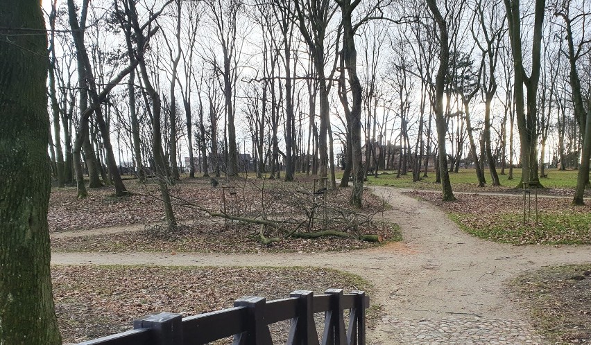 Zabytkowy park w Moszczenicy zniszczony przez wichurę i...