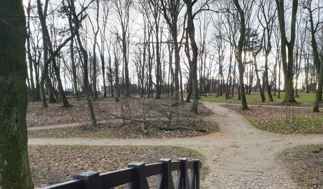 Zabytkowy park w Moszczenicy zniszczony przez wichurę i zamknięty do odwołania