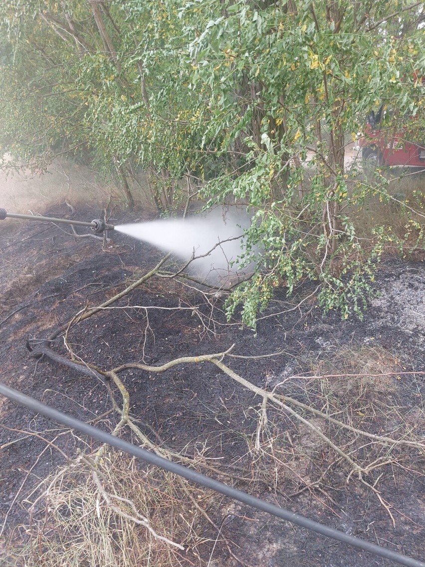 Powiat wolsztyński. Kolejne pożary podczas tegorocznych żniw [FOTO]