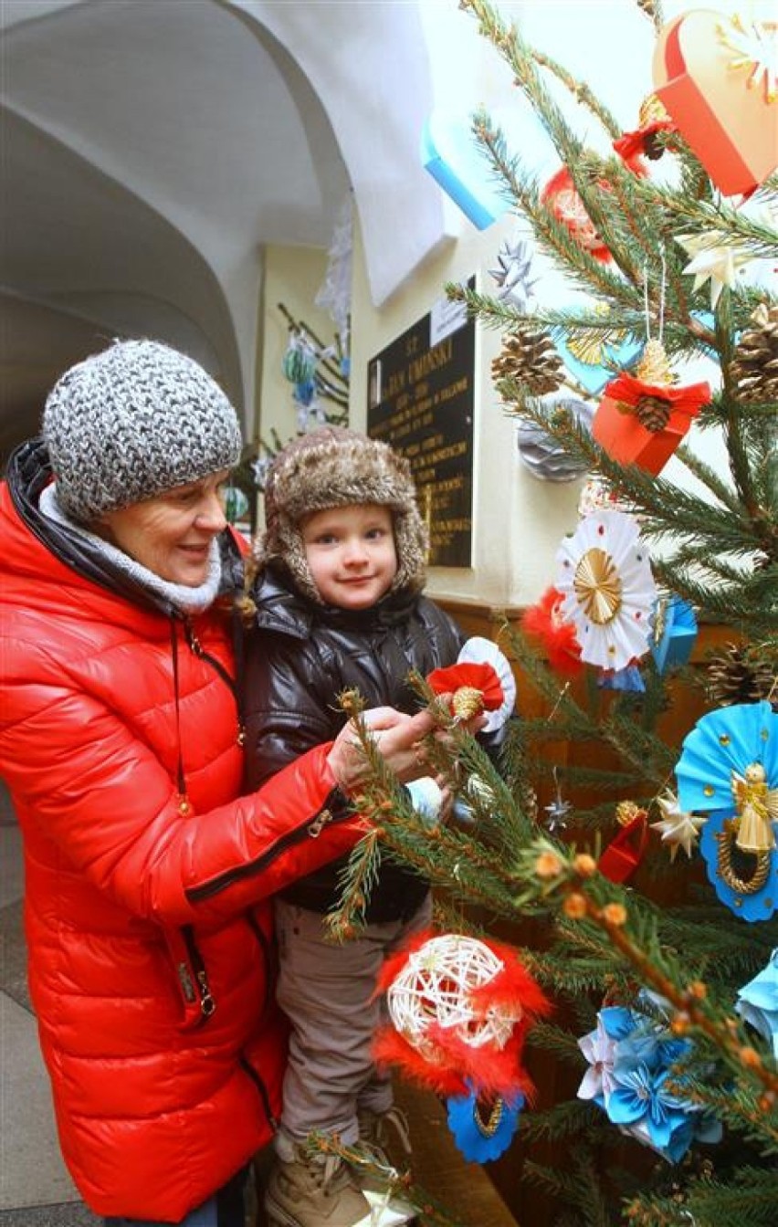 Konkurs na najładniejszą choinkę u Bernardynów w Piotrkowie