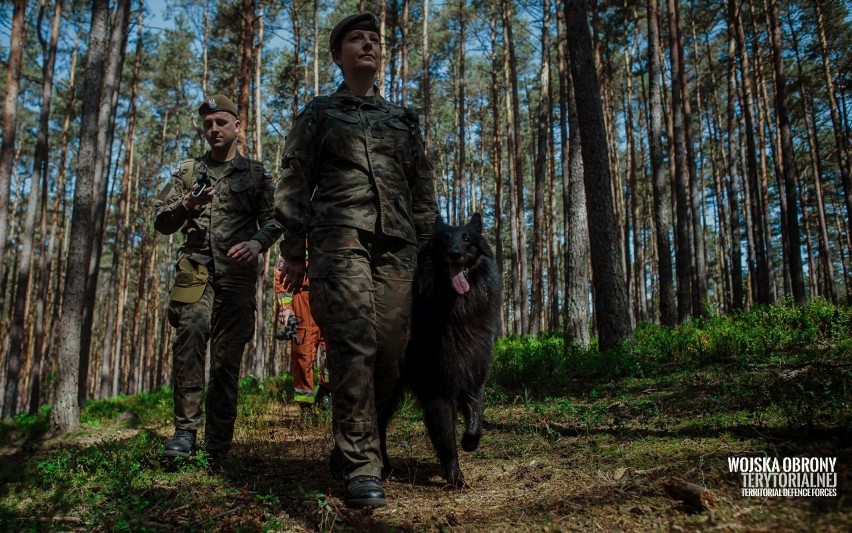 Szeregowy ARES. Pierwszy pies ratowniczy w Wojsku Polskim |ZDJĘCIA