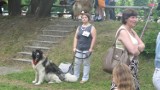 Wystawa psów Jelenia Góra. 800 psich piękności zobaczycie na stadionie 14 czerwca
