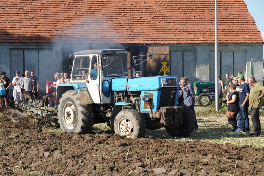 Zabytkowe traktory i konkurs orki. Ciekawa rywalizacja rolników. Działo się w Lubecku! Zobacz ZDJĘCIA. 