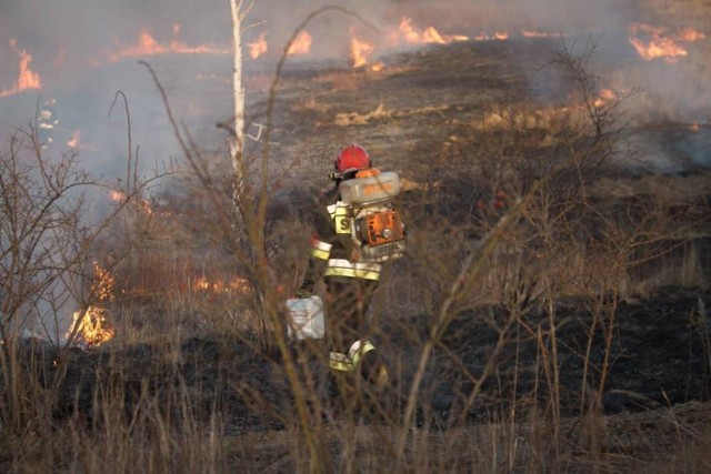 Prawie 500 pożarów w weekend na Mazowszu. Straż Pożarna apeluje o rozwagę