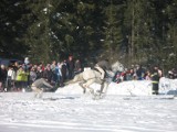 Górale podsumowali kumoterki