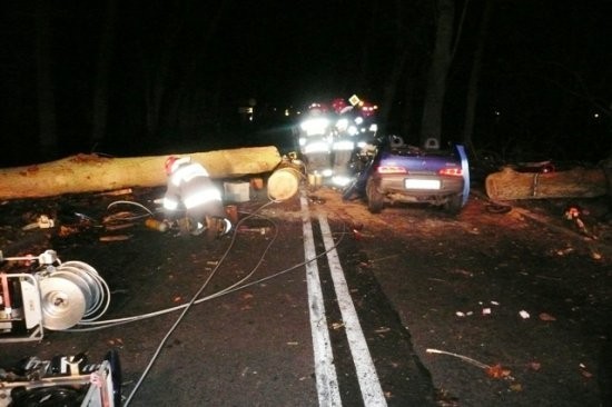 Drzewo runęło na samochód  w Złotowie. Kierowca cudem przeżył